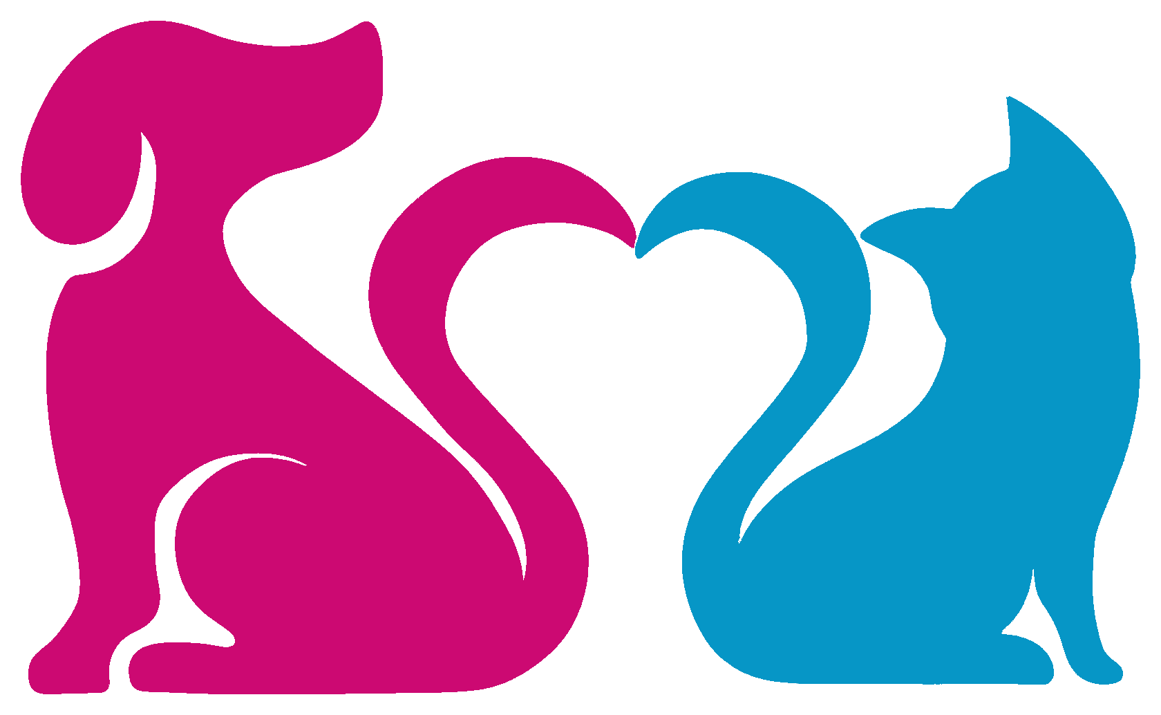 AMAA — cão e gato formando um coração