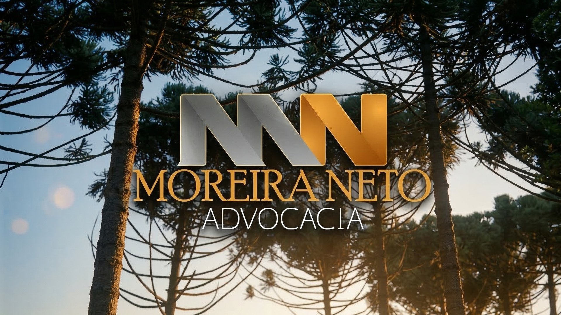 Moreira Neto Advocacia - Logo integrado em composição com araucária